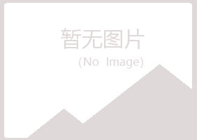 龙川县又菱水泥有限公司